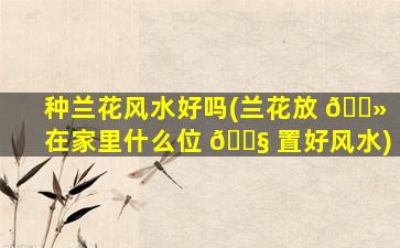 种兰花风水好吗(兰花放 🌻 在家里什么位 🐧 置好风水)